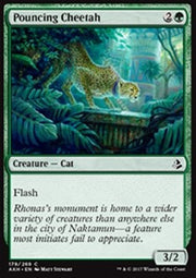 Pouncing Cheetah - Amonkhet (Common) [AKH-179]
