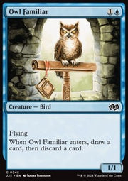 Owl Familiar - Foundations Jumpstart (Common) [J25-342]