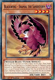 Blackwing - Shamal the Sandstorm - Legendary 5D's Decks (Common) [L5DD-C13]